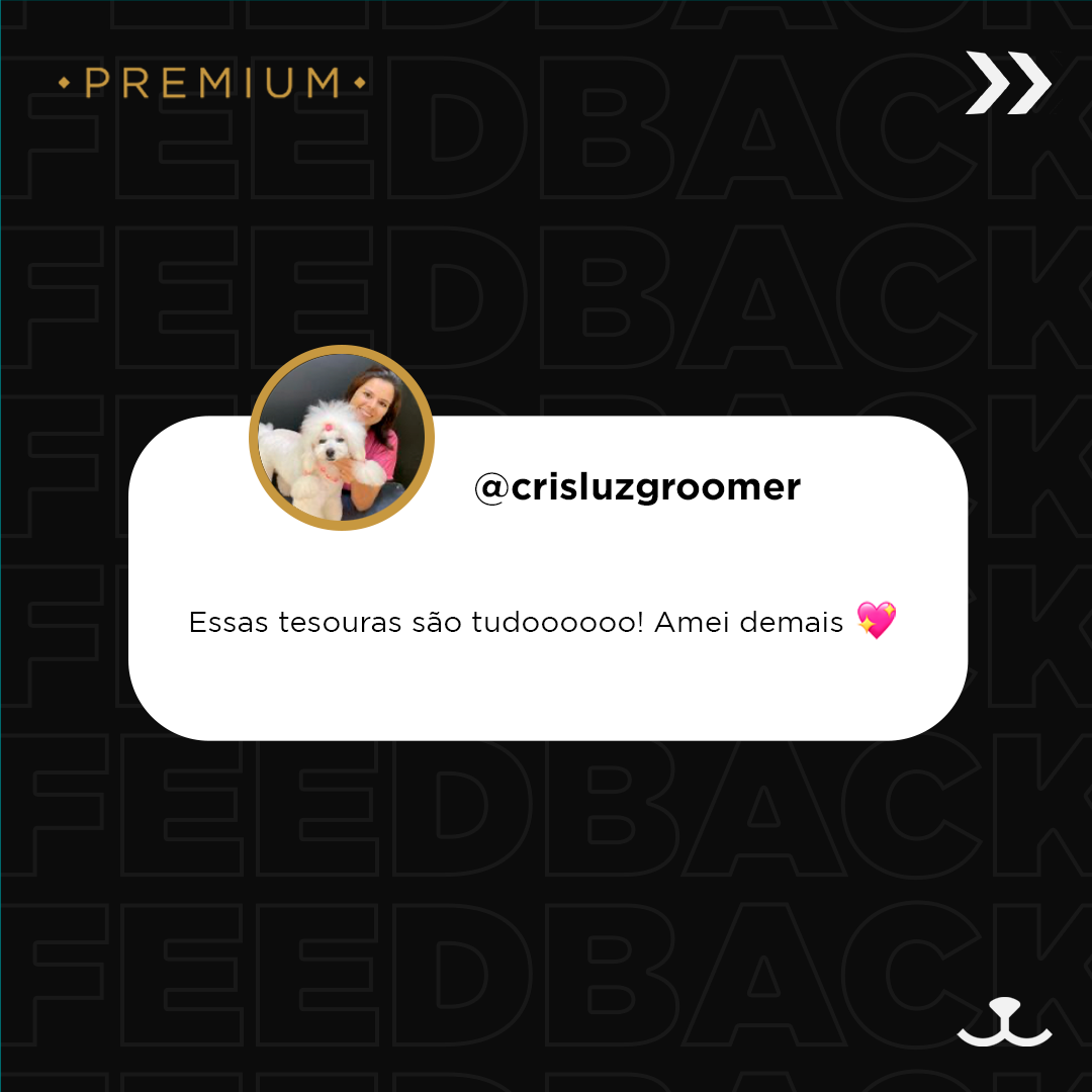 Premium Aco Inox s Carrossel back